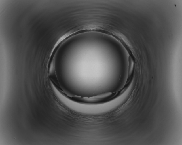 X0000084541226200703021436