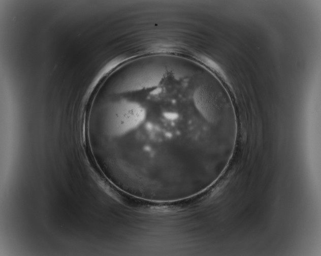 X0000084541227200703021436