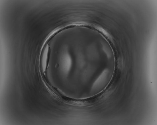 X0000084541229200703021436