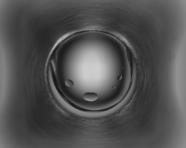 X0000084541230200703021436