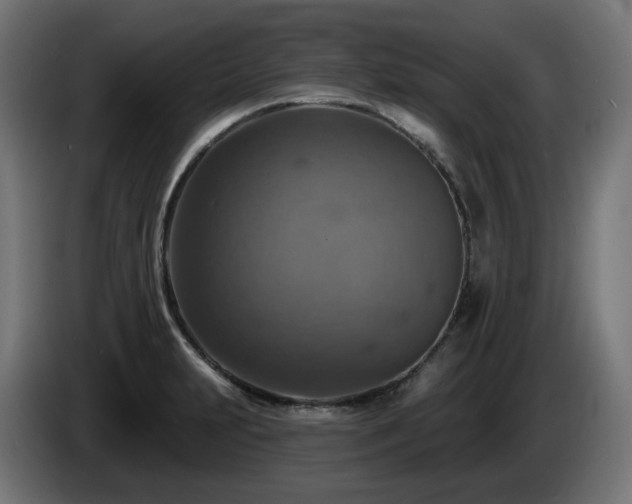 X0000084541231200703021436