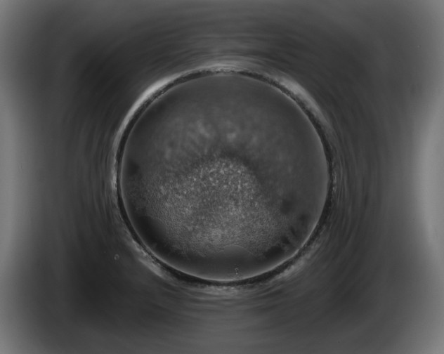 X0000084541232200703021436