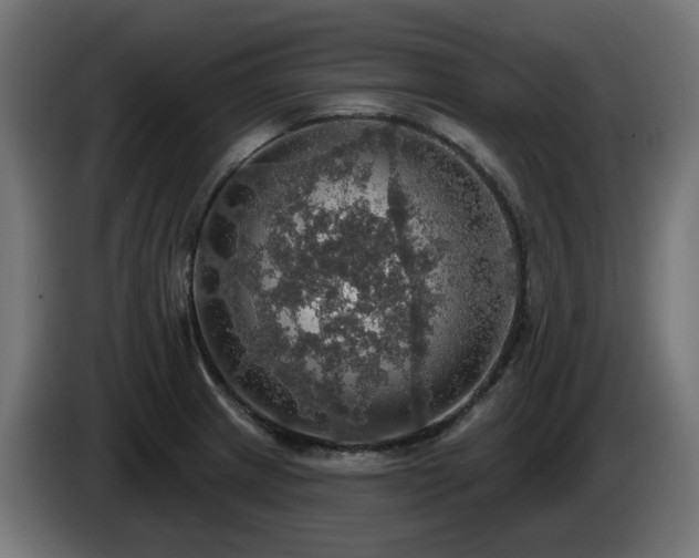 X0000084541233200703021436