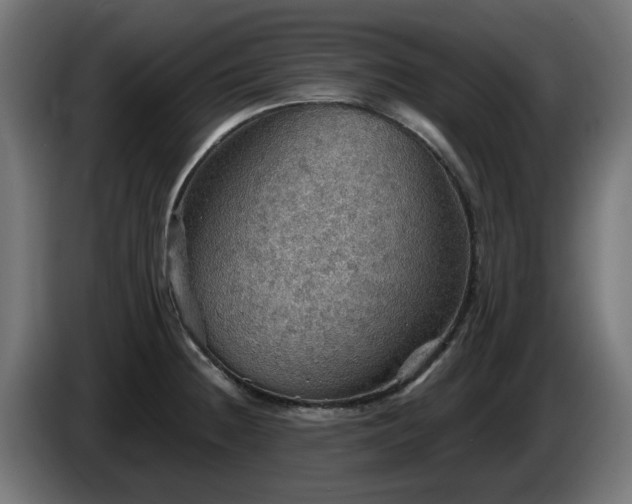 X0000084541236200703021436