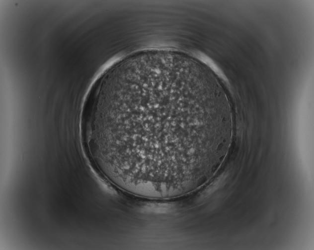 X0000084541237200703021436