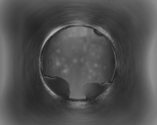 X0000084541239200703021436