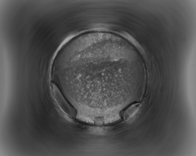 X0000084541240200703021436
