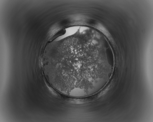 X0000084541241200703021436