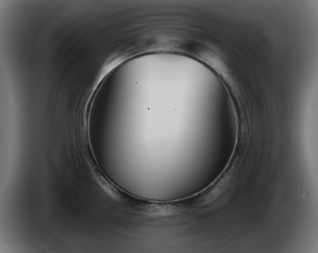 X0000084541242200703021436