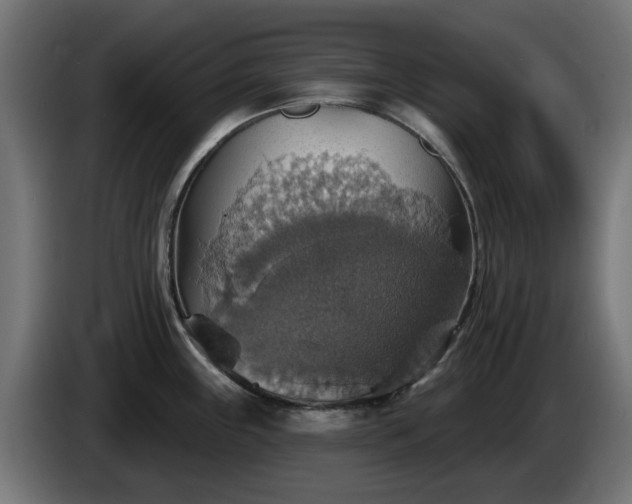 X0000084541243200703021436