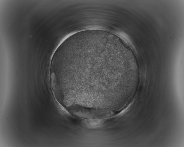 X0000084541244200703021436