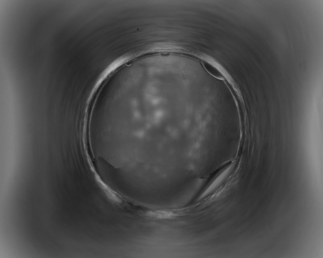 X0000084541245200703021436