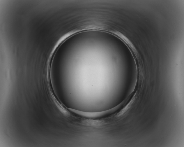 X0000084541246200703021436