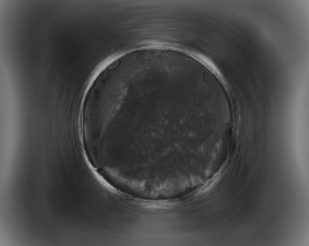 X0000084541247200703021436