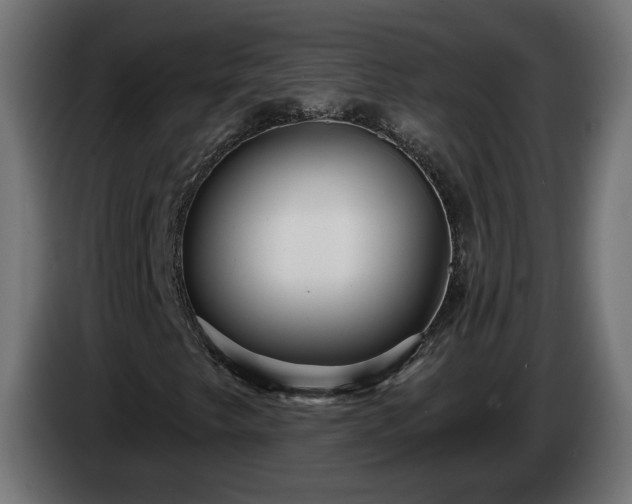 X0000084541249200703021436