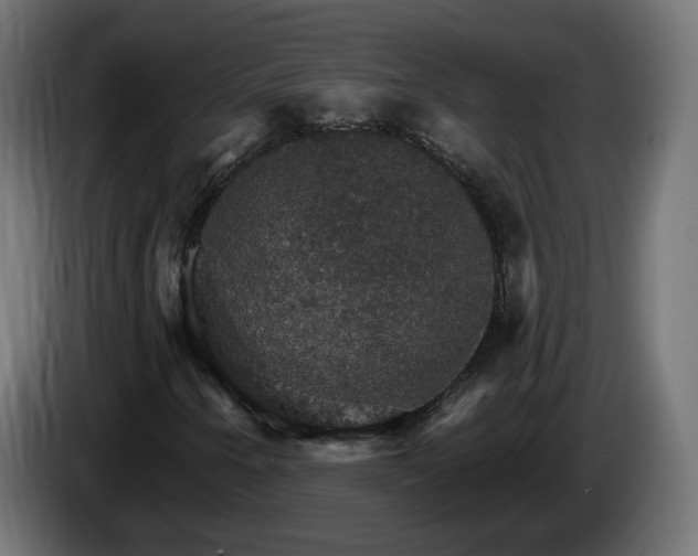 X0000084541250200703021436