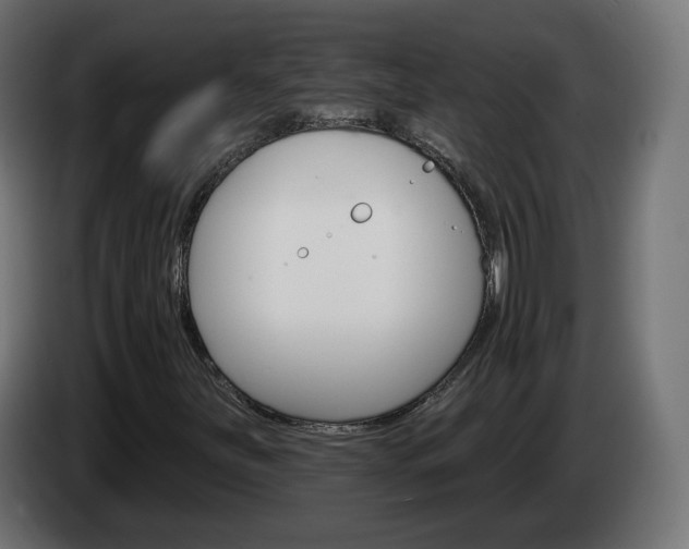 X0000084541251200703021436