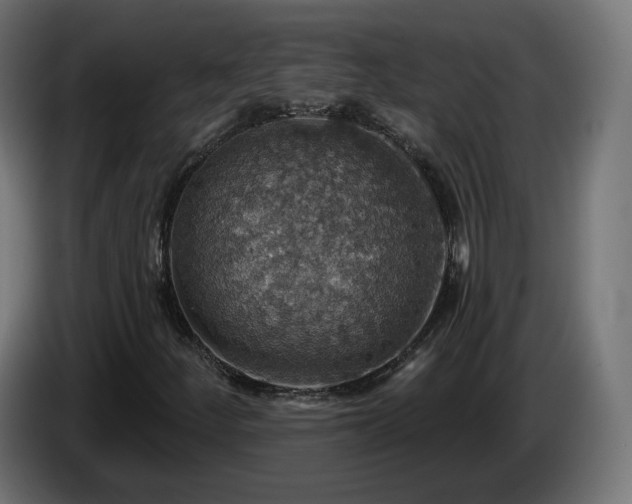 X0000084541252200703021436