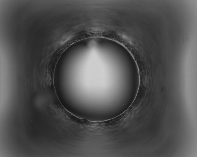 X0000084541253200703021436