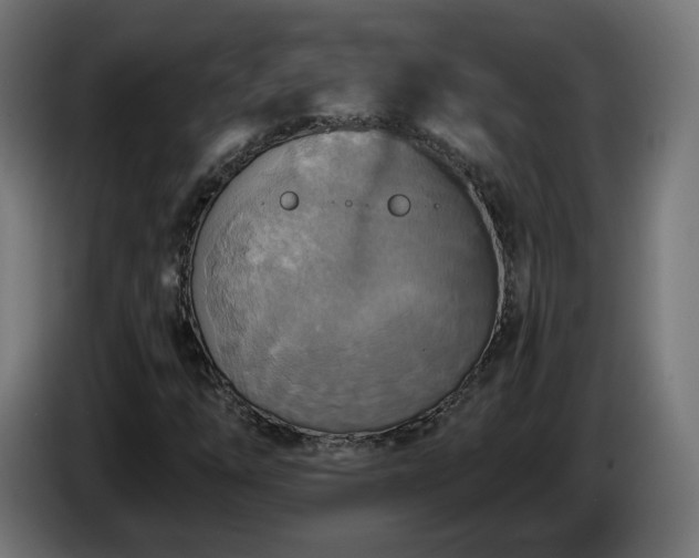 X0000084541254200703021436