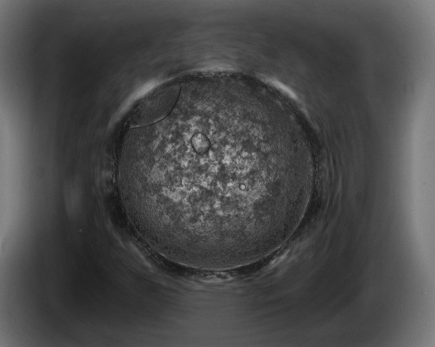 X0000084541255200703021436