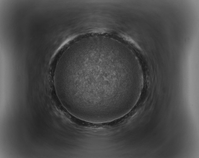 X0000084541256200703021436