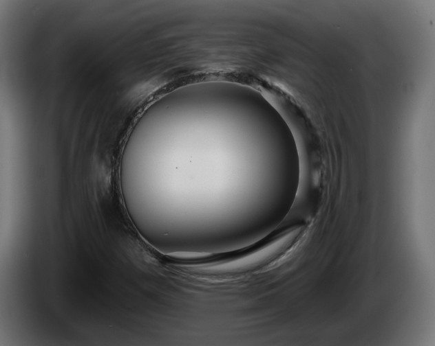 X0000084541257200703021436