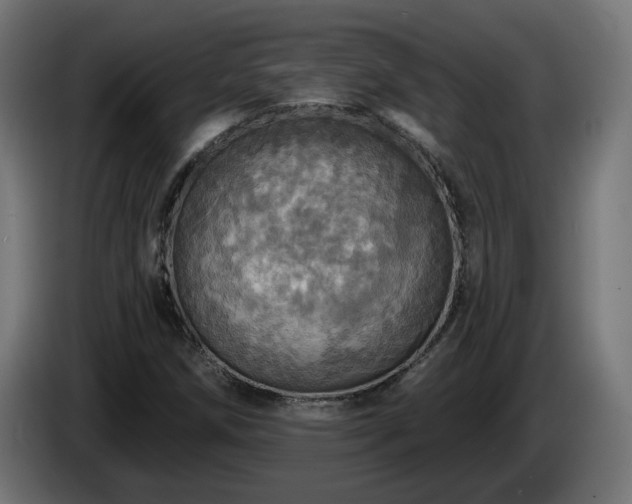 X0000084541258200703021436