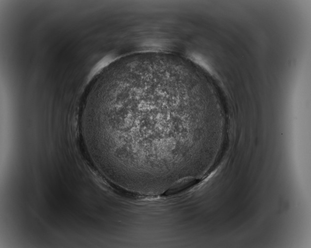 X0000084541259200703021436