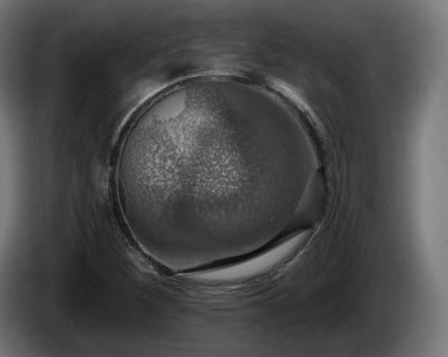 X0000084541260200703021436