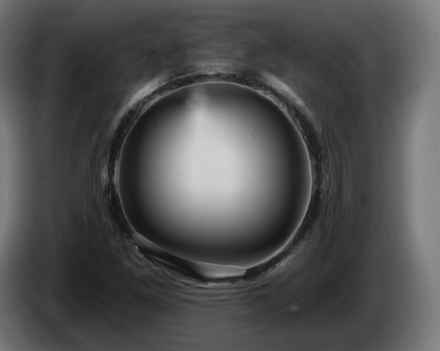 X0000084541261200703021435