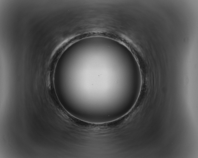 X0000084541262200703021435