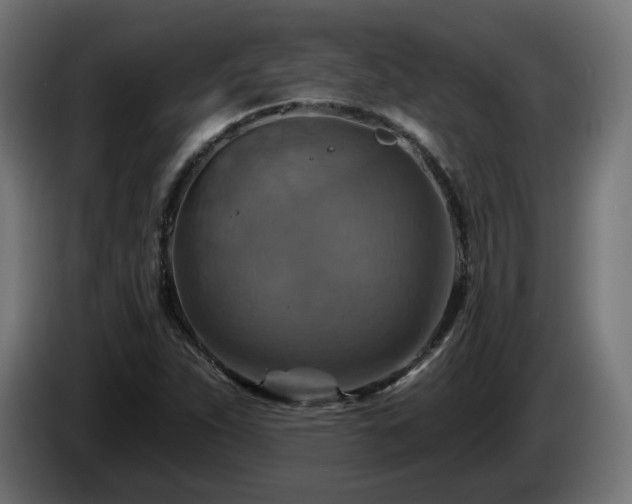 X0000084541263200703021435