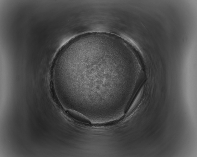 X0000084541264200703021435