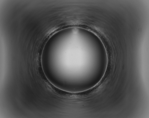 X0000084541265200703021435