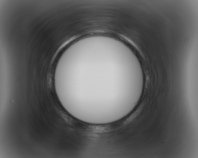 X0000084541266200703021435