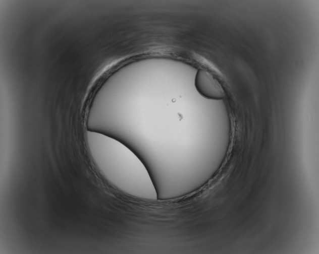 X0000084541267200703021435