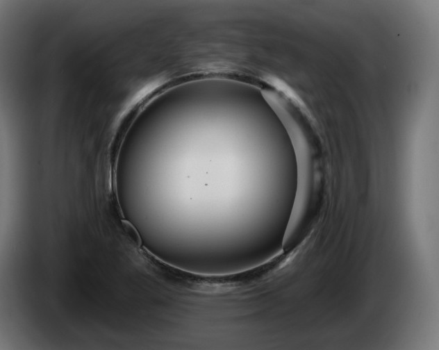 X0000084541269200703021435