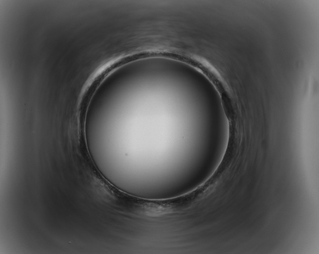 X0000084541270200703021435