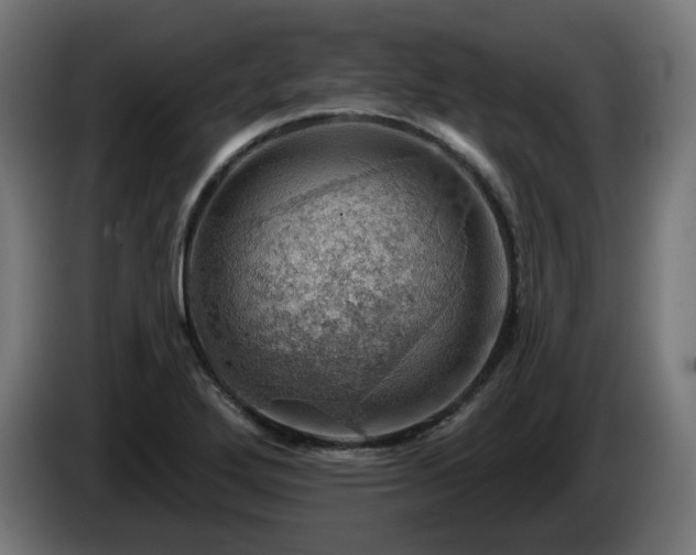 X0000084541272200703021435
