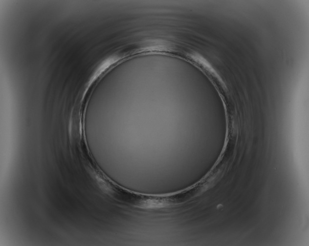 X0000084541274200703021435