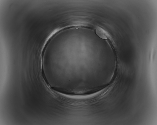 X0000084541275200703021435