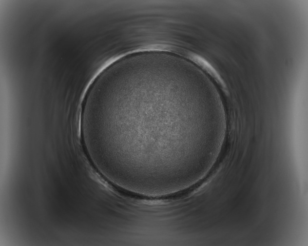 X0000084541276200703021435