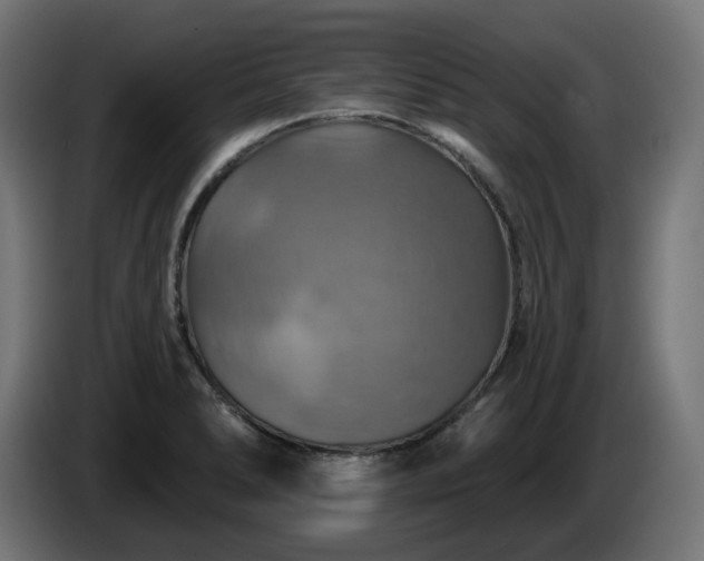 X0000084541278200703021435