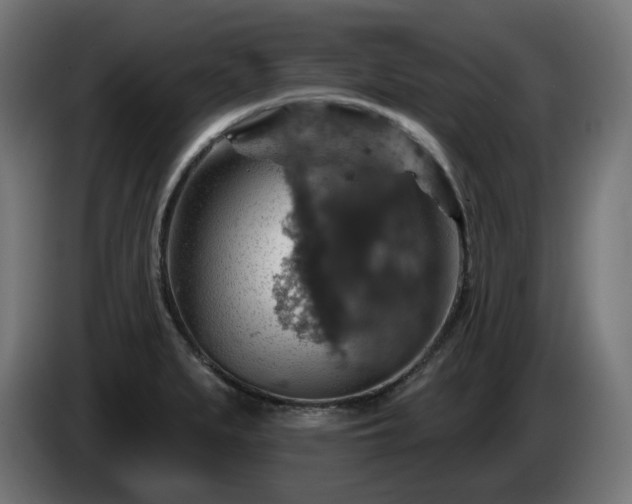 X0000084541279200703021435