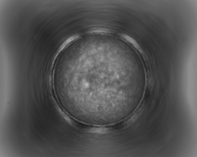 X0000084541282200703021435