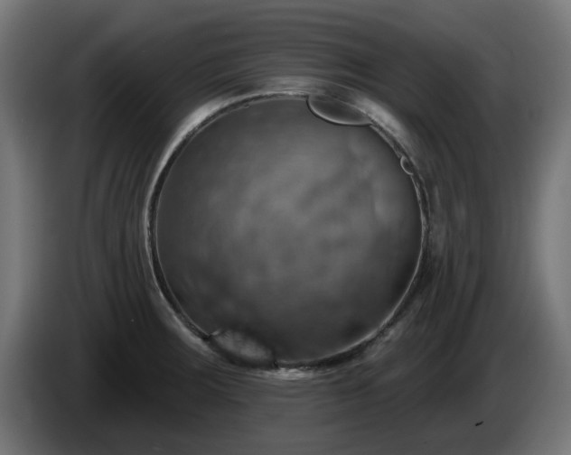 X0000084541283200703021435
