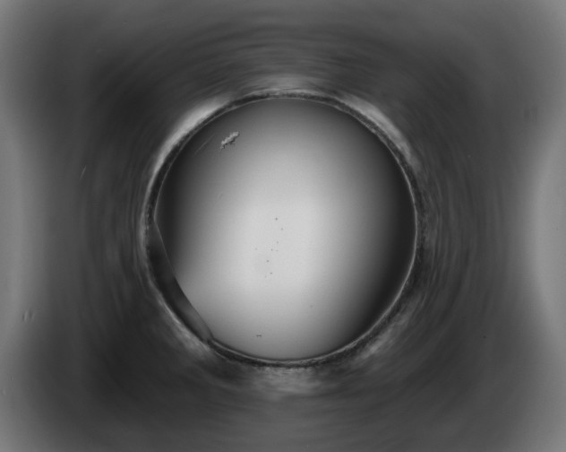 X0000084541285200703021435