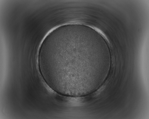 X0000084541288200703021435