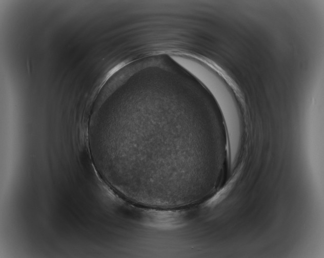 X0000084541289200703021435